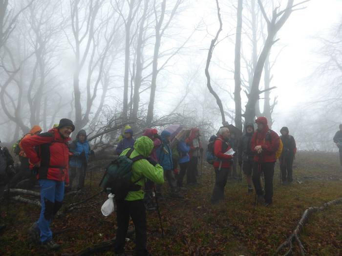 Laino artetik Santa Elena me 23 1511892609861