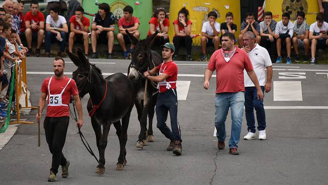 Aretako Jaiak gaur bukatuko  8 1501140653273