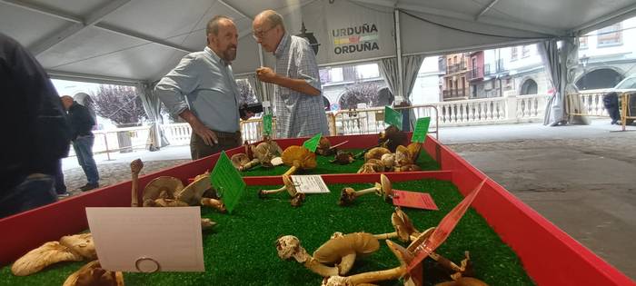 Ziza garaia iritsi da Urduña 21 1760971505971