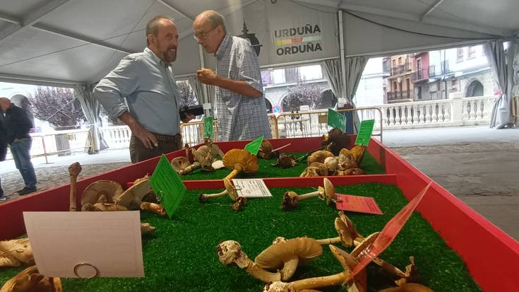 Ziza garaia iritsi da Urduñara