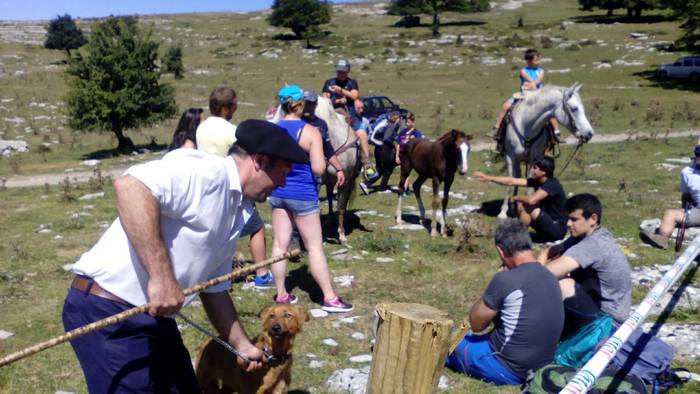 Artzainak izan ziren nagusi  61 1535893522461