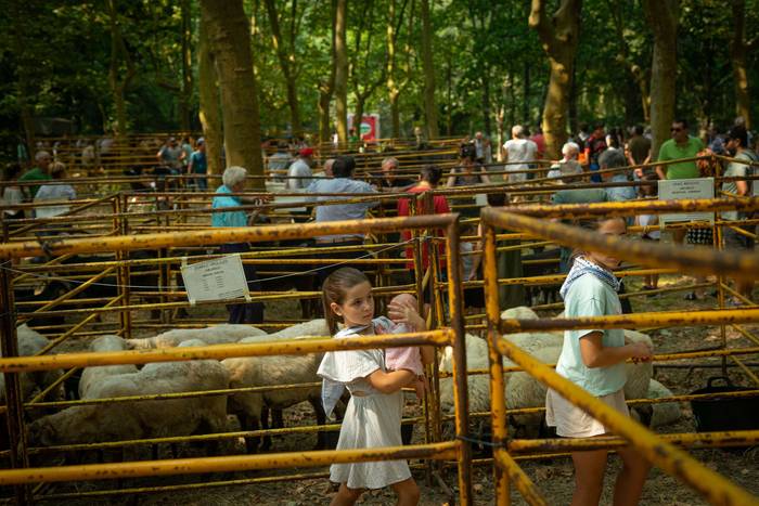 San Rokeko zelaiak bilakatu  27 1755350481299