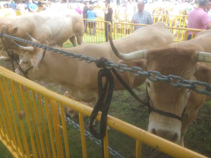 San Isidro Azokak jende ugar 37 1494852367425