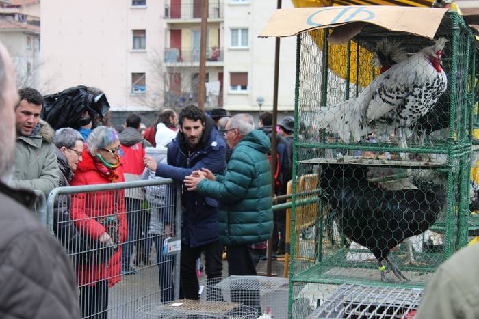 Ehunka lagunek berotu dute D 21 1521814020116