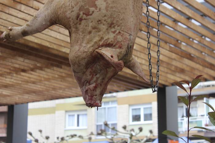 Ehunka ekoizlek eta bisitari 37 1516541984521