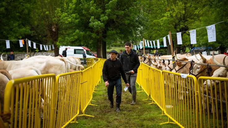 Ez dute San Isidro Feria egingo Arespalditzan, eguraldiagatik, baina arratsaldeko ekintzak mantendu dituzte