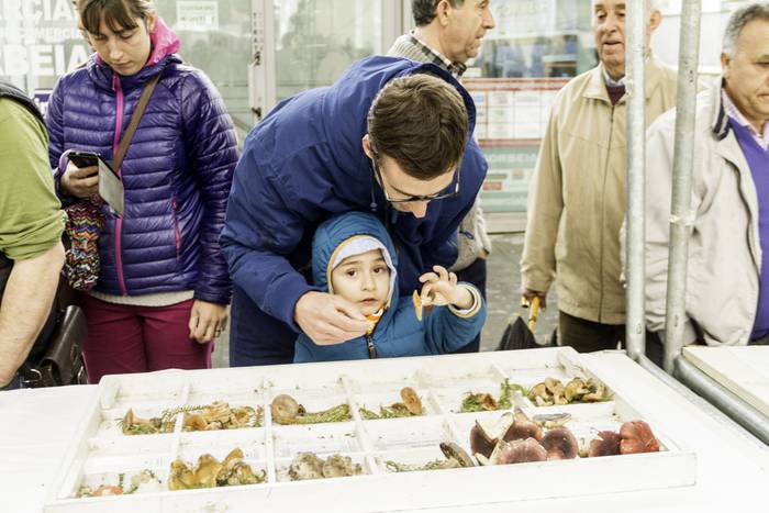 Gastronomia eta mikologia uz 33 1509955190961