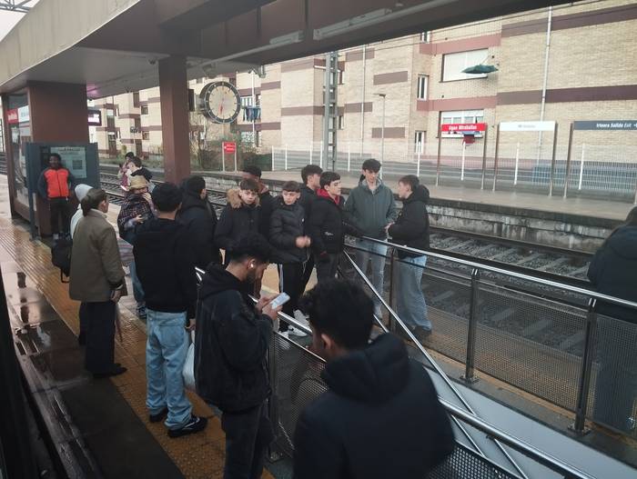 Ez dago tren zerbitzurik Ugao eta Urduña artean, zuhaitz bat erori delako