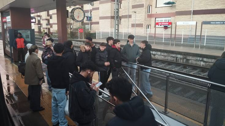 Ez dago tren zerbitzurik Ugao eta Urduña artean, zuhaitz bat erori delako