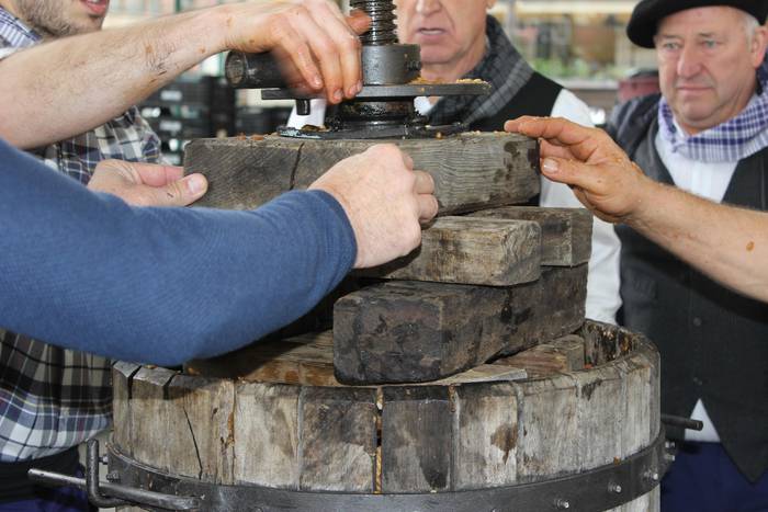 Laudioko Sagar Eguna 14 1509299603062