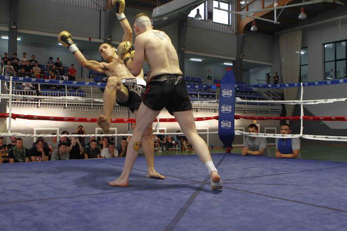 Euskal Herria-Palestina borr 31 1527491106162