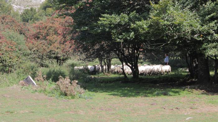 Sanbitoresak ospatzeko ehunk 243 1504516362462