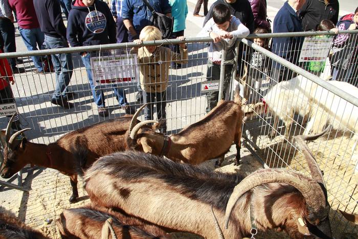 Dolumin Barikuak eta Korrika 11 1491597049863