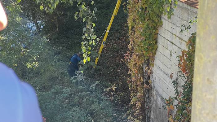 Txakur bat erreskatatu dute  6 1761824749417