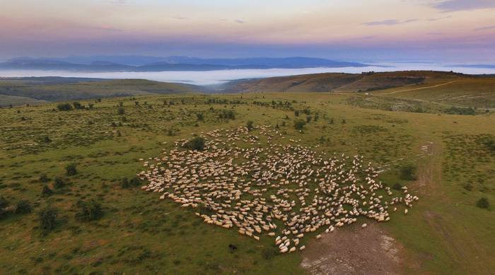 Abeltzaintzari buruzko dokum 13 1500543706875