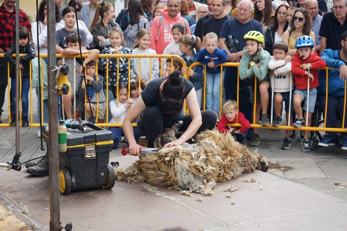 Yolanda Elosegui, Maria Ange 8 1758471066388