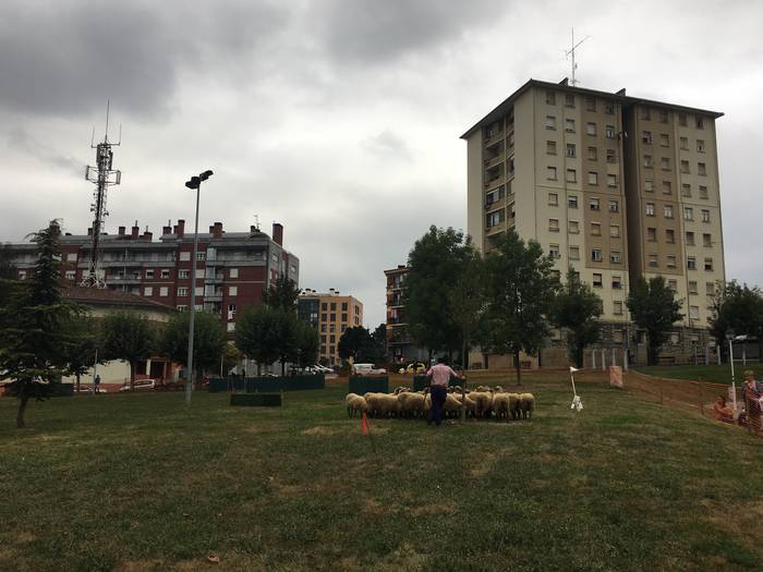 Castellersek, bertsolariek,  37 1503689185769