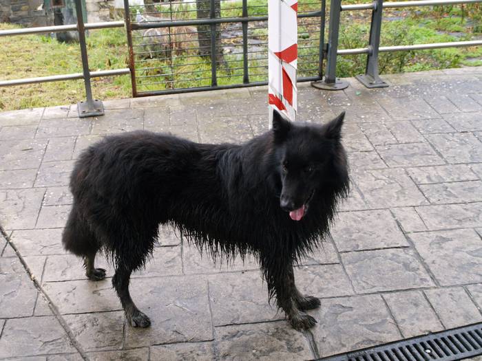 Eguraldi petralak ez zuen ik 34 1513166726601