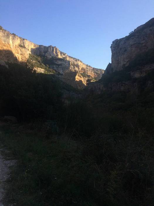 Iratiko basoan egon da asteb 12 1509432800757