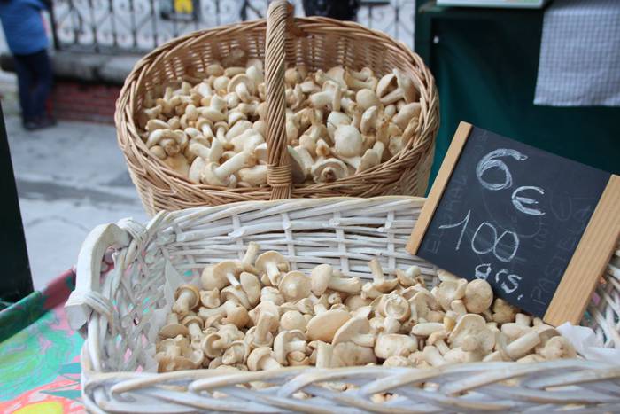 V.Azoka agroekologikoa