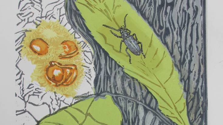 XXIII. Gaztaina Eguna