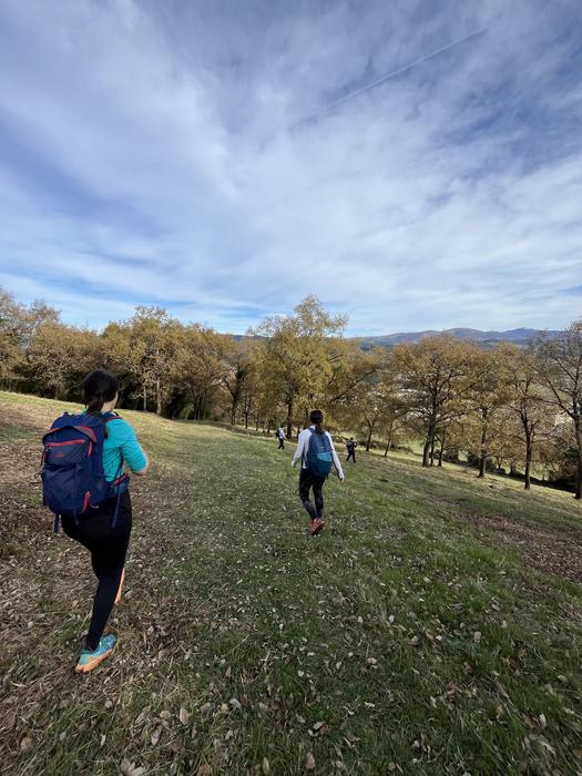 Omenaldiek bereziki hunkigar 45 1765402874754