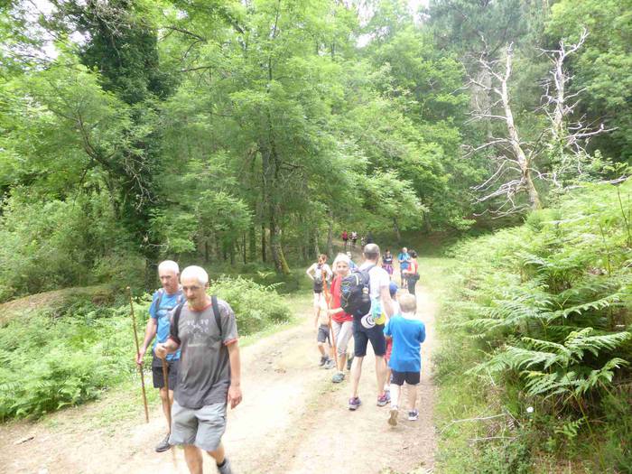 Astelehenerarte luzatu ziren 4 1496393880853