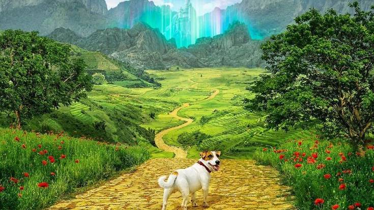 'El Mago de Ciudad Esmeralda: El camino de baldosas amarillas'