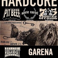 Hardcore gaua