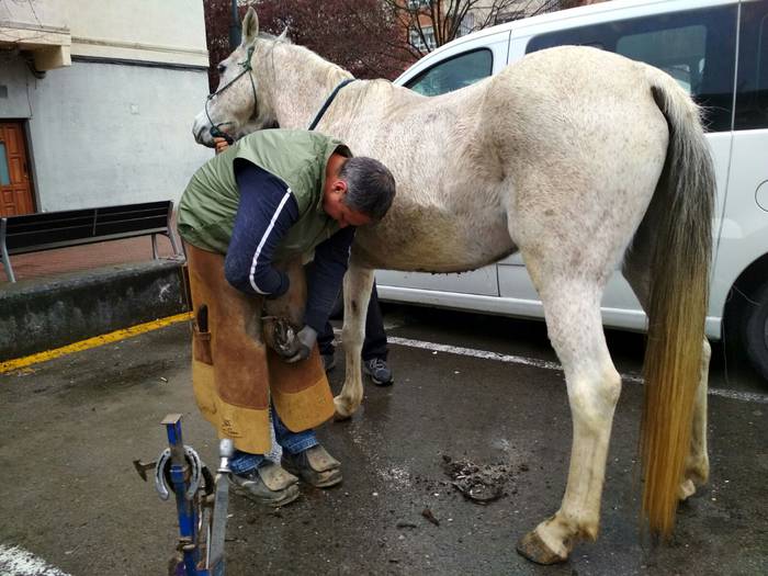 Ehunka lagunek berotu dute D 11 1521813771834