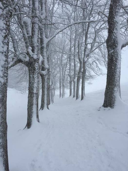 Elurtuta topatu zuen Matxink 17 1521550071328