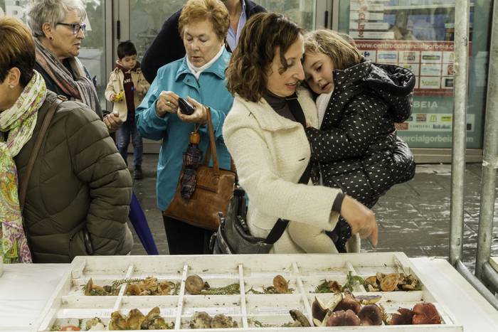 Gastronomia eta mikologia uz 14 1509955068001