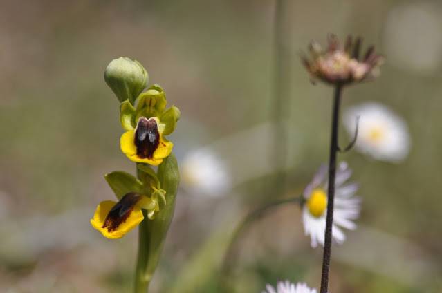 Itzultzeak 14 1619015040857