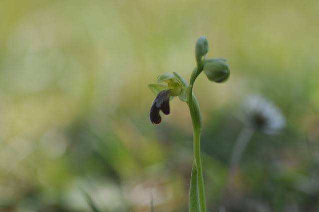 Itzultzeak 4 1619015039044