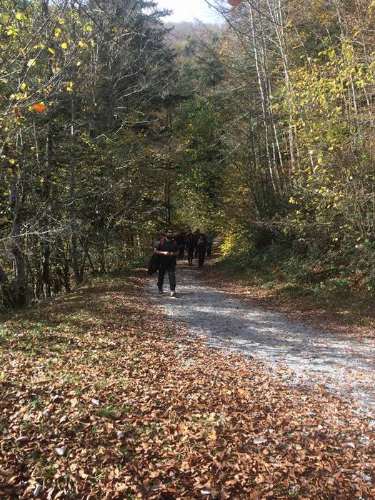 Iratiko basoan egon da asteb 1 1509432738816