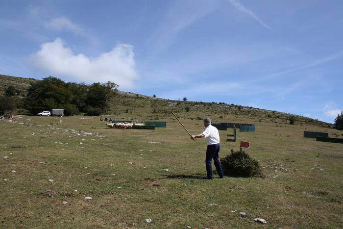 Sanbitoresak ospatzeko ehunk 56 1504510049382