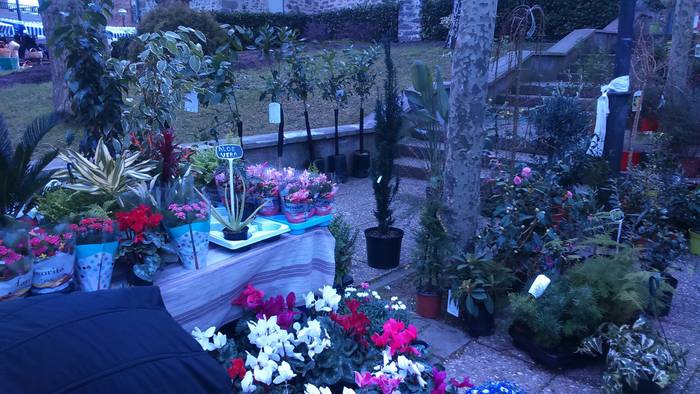 Tokiko ekoizleak eta enkatea 10 1485165270228