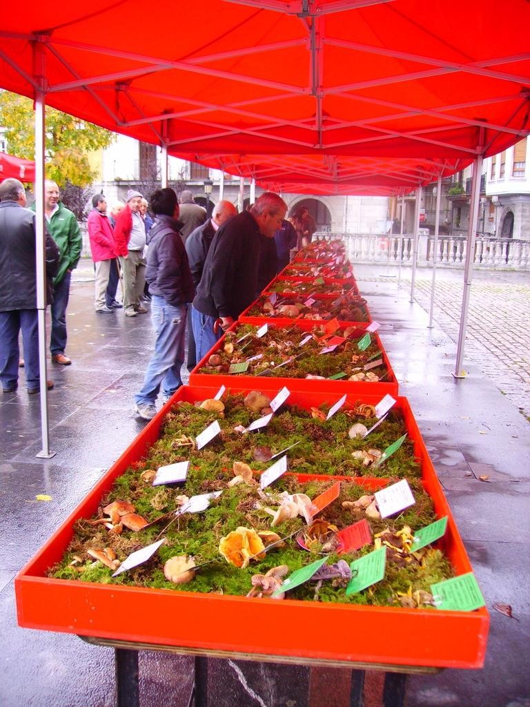 Onddoak, zizak, bertako produktuak eta makilak erakusgai Foru Plazan