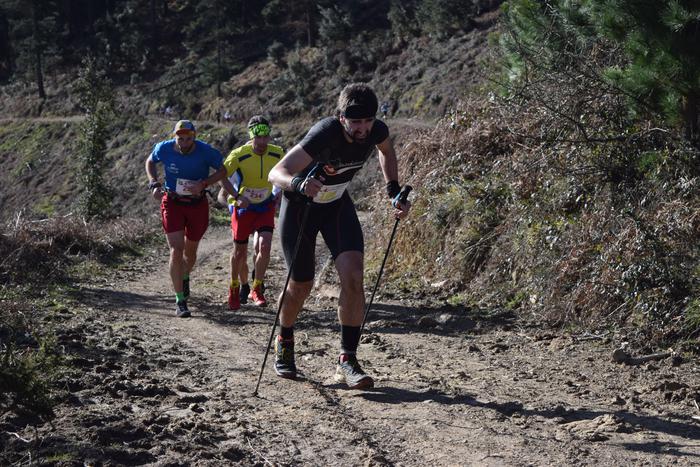 Eskualdeko hainbat lasterkar 3 1520324089801