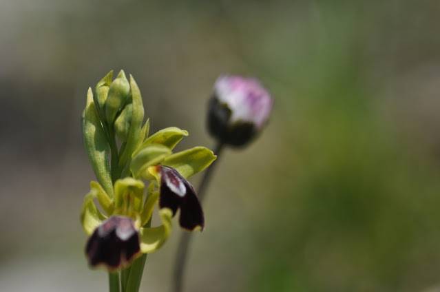 Itzultzeak 18 1619015041604