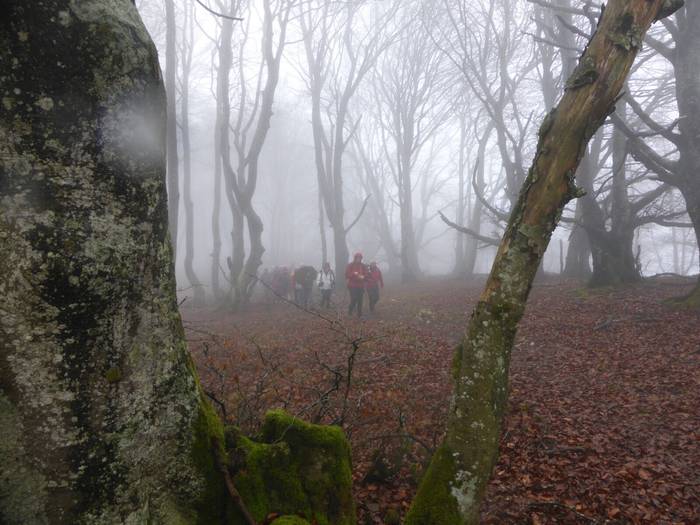 Laino artetik Santa Elena me 24 1511892616134