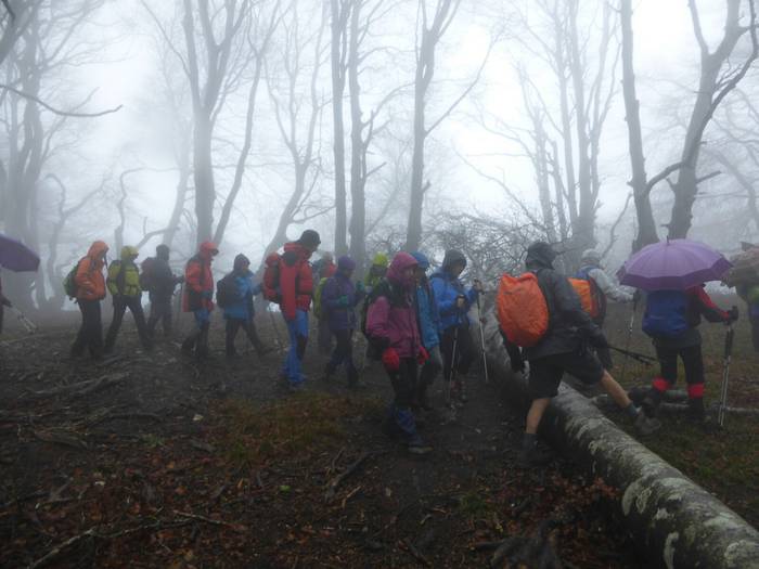 Laino artetik Santa Elena me 22 1511892602431