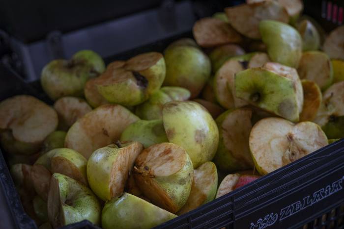 Sagarraren tradizioa plazara 24 1759588516201