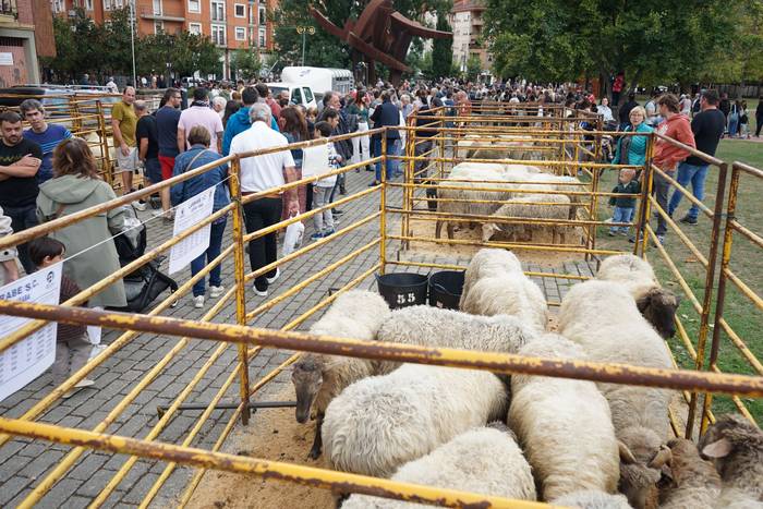 Yolanda Elosegui, Maria Ange 10 1758471069286