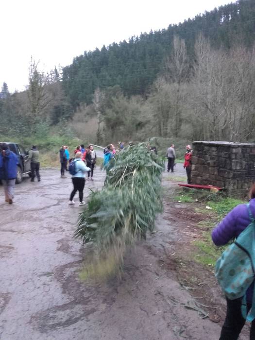 Tripa bete janari eta giro o 2 1516564824848