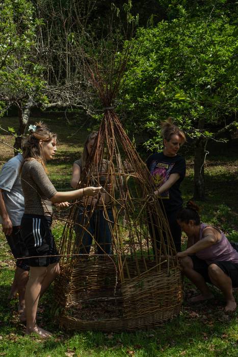 Basa zikloak lokatzetik Fakt 11 1777364232435