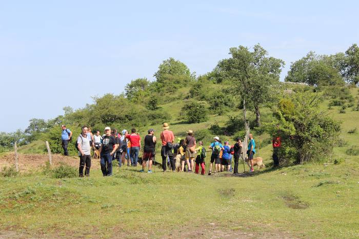 San Pedron gertatutako sarra 2 1495993997545