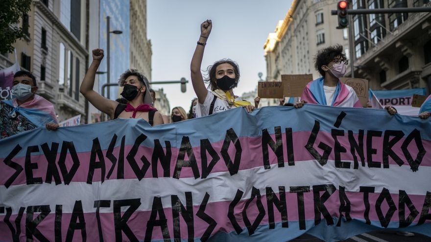 Trans legearen aurreproiektuaren inguruan