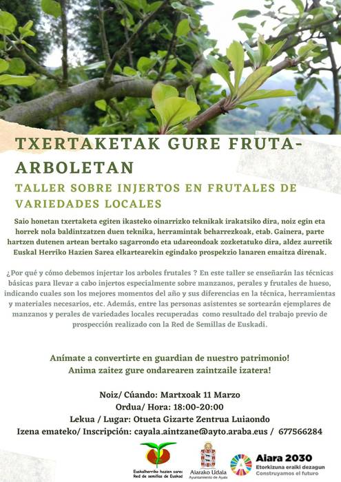 Txertaketak gure fruta arboletan