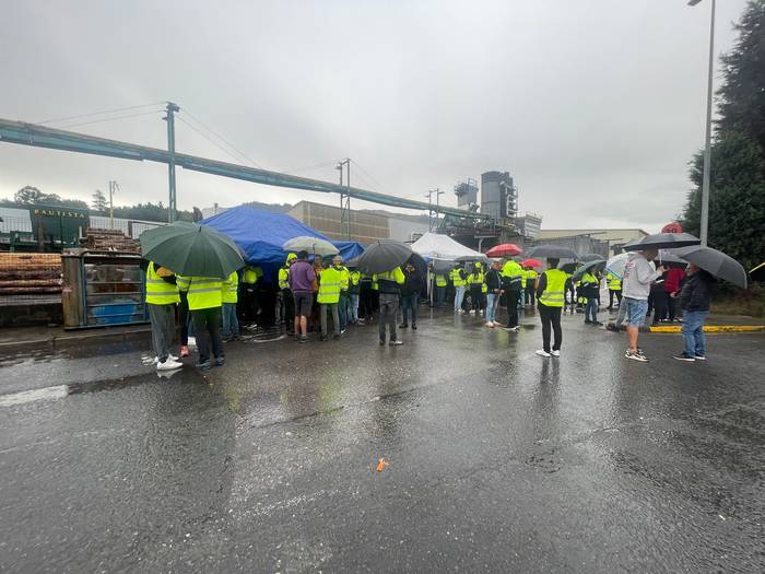 Maderas de Llodion 39 kaleratze egin nahi dituela berretsi du Garnicak